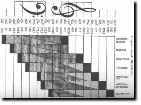 Classificazione delle voci con l'indicazione della frequenza.